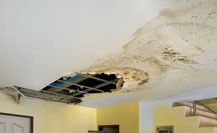 Roof and storm leak water damage on a Maple Grove, MN ceiling